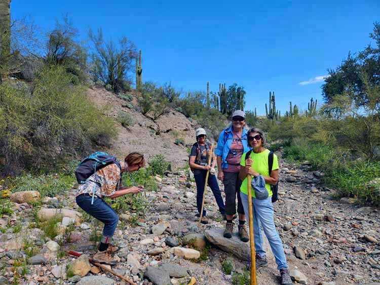 gang on a hike